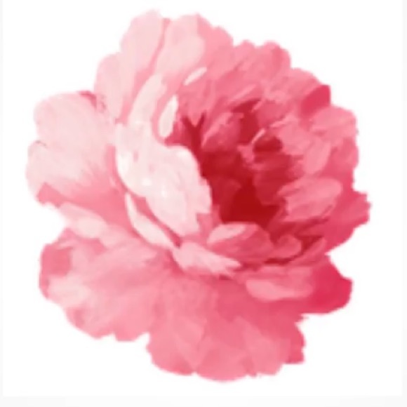 Meet your Posher, Emily - Picture 1 of 1